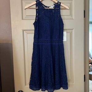 Stylish Navy Lace Dress